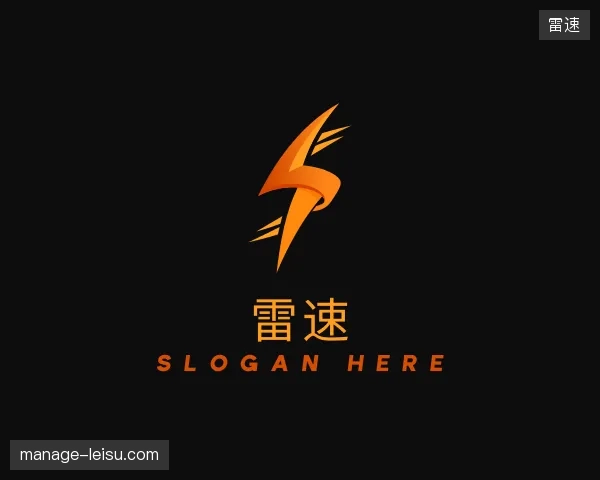 介绍雷速团队